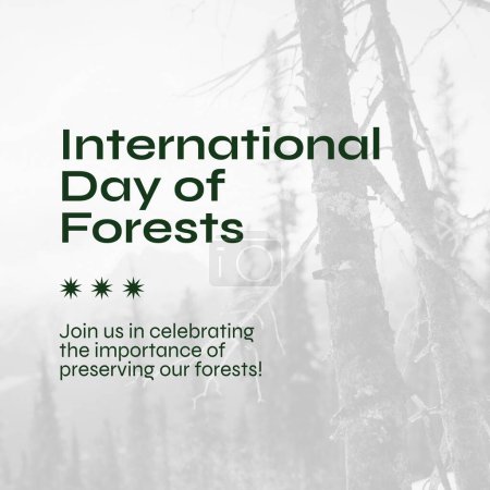 Téléchargez les photos : Composite de la journée internationale des forêts texte sur les arbres par temps brumeux. Joignez-vous à nous pour célébrer l'importance de préserver nos forêts, notre nature, notre concept de sensibilisation et de protection. - en image libre de droit