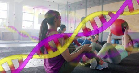 Téléchargez les photos : Image de brins d'ADN sur diverses femmes cross training en paires avec des boules de médecine à la salle de gym. Fitness, exercice, force, données, génétique et technologie image générée numériquement. - en image libre de droit