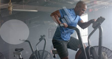Photo for Image of data on interface over african american man cross training on elliptical at gym. Fitness, exercise, strength, data, digital interface and technology digitally generated image. - Royalty Free Image