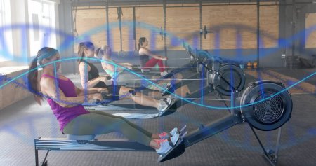 Foto de Imagen de hebras de ADN sobre diversas mujeres entrenando en máquinas de remo en el gimnasio. Fitness, ejercicio, fuerza, datos, genética y tecnología imagen generada digitalmente. - Imagen libre de derechos