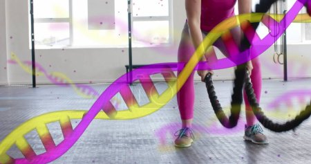 Téléchargez les photos : Image de brins d'ADN sur femme heureuse cross-training avec des cordes de combat à la salle de gym. Fitness, exercice, force, données, génétique et technologie image générée numériquement. - en image libre de droit