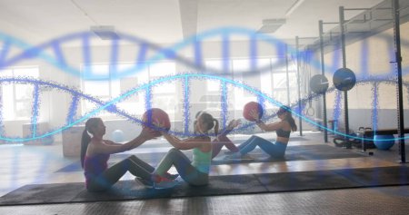 Foto de Imagen de hebras de ADN sobre diversas mujeres que cruzan el entrenamiento en parejas con bolas de medicina en el gimnasio. Fitness, ejercicio, fuerza, datos, genética y tecnología imagen generada digitalmente. - Imagen libre de derechos