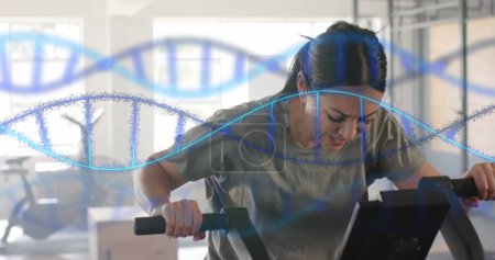 Photo for Image of dna strands over caucasian woman cross training on elliptical at gym. Fitness, exercise, strength, data, genetics and technology digitally generated image. - Royalty Free Image