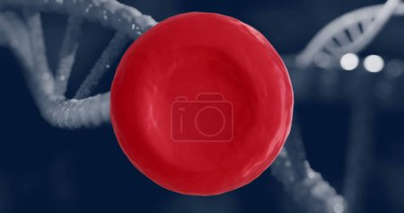 Photo for Image of blood cell and dna strands on black background. Global medicine and digital interface concept digitally generated image. - Royalty Free Image