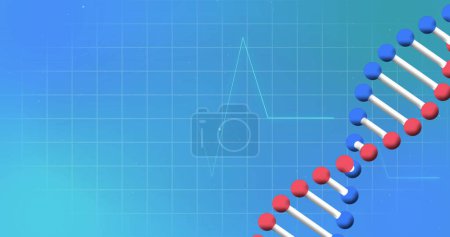 Photo for Image of cardiograph and dna strand on blue background. Global medicine and digital interface concept digitally generated image. - Royalty Free Image