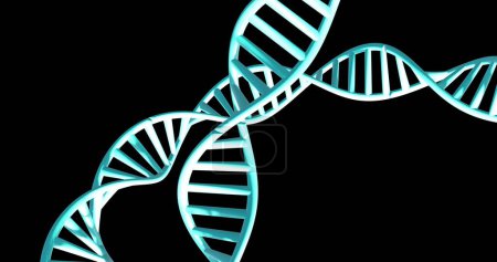 Photo for Image of dna strands spinning with copy space over black background. Global science, research and data processing concept digitally generated image. - Royalty Free Image
