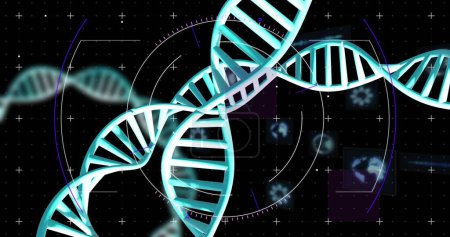 Téléchargez les photos : Image de brins d'ADN filant avec traitement de données sur fond noir. Concept mondial de science, de recherche et de traitement des données image générée numériquement. - en image libre de droit