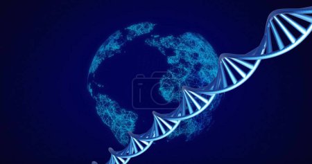 Photo for Image of dna strands spinning with glowing light trails over dark background. Global science, research and data processing concept - Royalty Free Image
