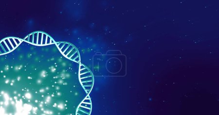 Foto de Imagen de la hebra de ADN girando con espacio de copia sobre fondo azul y negro. Concepto global de ciencia, investigación y procesamiento de datos imagen generada digitalmente. - Imagen libre de derechos