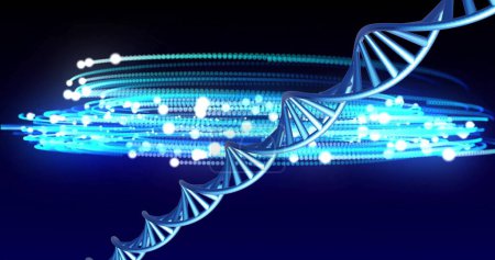 Foto de Imagen de la hebra de ADN girando con espacio de copia sobre fondo azul y negro. Concepto global de ciencia, investigación y procesamiento de datos imagen generada digitalmente. - Imagen libre de derechos