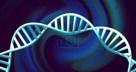Photo for Image of dna strand spinning with glowing light trails over dark background. Global science, research and data processing concept digitally generated image. - Royalty Free Image