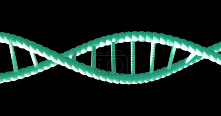 Photo for Image of dna strand spinning with copy space over black background. Global science, research and data processing concept digitally generated image. - Royalty Free Image