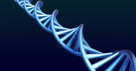Téléchargez les photos : Illustration 3D d'une double hélice ADN dans des tons bleus. Il symbolise la recherche génétique et les progrès de la biotechnologie en science. - en image libre de droit