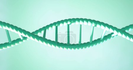 Image of dna strand spinning with copy space over green background. Global science, research and data processing concept digitally generated image.