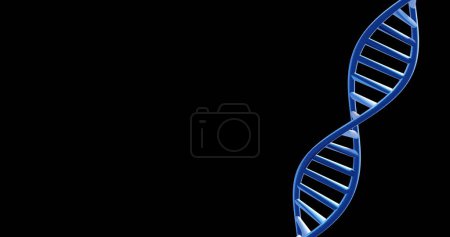 Image of dna strand spinning with copy space over black background. Global science, research and data processing concept digitally generated image.