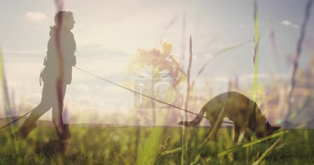Photo for Digital composite of a man walking his dog on grass land with tall grass in the foreground - Royalty Free Image