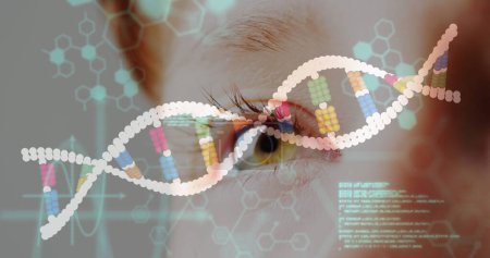 Photo for Image of dna strand and data processing over eye. Global medicine and digital interface concept digitally generated image. - Royalty Free Image