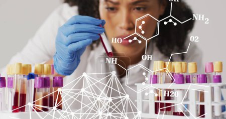 Photo for Image of chemical structures over biracial female doctor with test tubes. Global medicine and digital interface concept digitally generated image. - Royalty Free Image