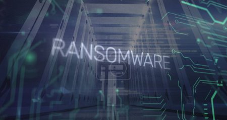Image of ransomware text and data processing over server room. Global business and digital interface concept digitally generated image.