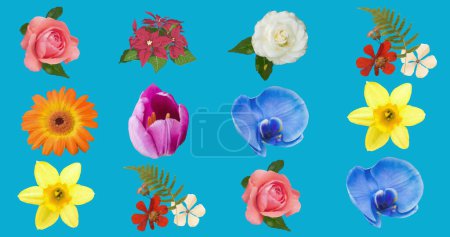 Bild von Blumen, die sich in hypnotischer Bewegung auf blauem Hintergrund bewegen. Farbe, Natur, Muster und Bewegungskonzept digital generiertes Bild.