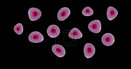 Photo for Image of micro of red and pink cells on black background. Global science, research and medicine concept digitally generated image. - Royalty Free Image