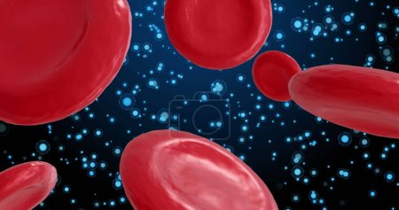 Image of micro of red blood cells on blue background. Global science, research and medicine concept digitally generated image.