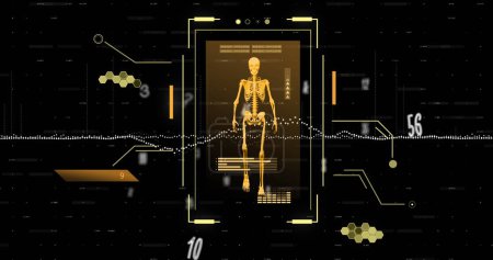 Photo for Image of data processing and numbers over skeleton walking. Global science and digital interface concept digitally generated image. - Royalty Free Image