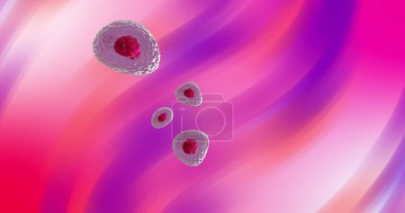 Image of micro of red and pink cells over pink and purple background. Global science, research and medicine concept digitally generated image.