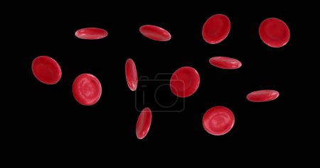 Image of micro of red blood cells on black background. Global science, research and medicine concept digitally generated image.