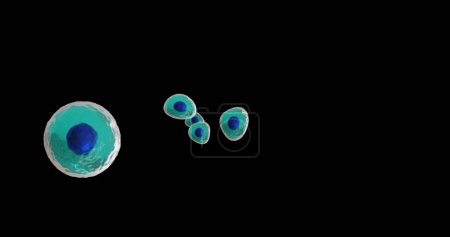 Téléchargez les photos : Image de micro de cellules bleues et turquoise sur fond noir. Concept mondial de science, de recherche et de médecine image générée numériquement. - en image libre de droit