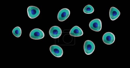 Foto de Imagen de micro de células azules y turquesas sobre fondo negro. Concepto global de ciencia, investigación y medicina imagen generada digitalmente. - Imagen libre de derechos