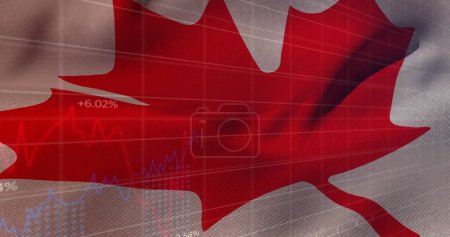 Bild einer schwenkenden kanadischen Flagge über der Verarbeitung von Finanzdaten. Globales Datenverarbeitungs- und Sparkonzept digital generiertes Bild.