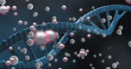 Foto de Células Covid-19 flotando sobre la estructura del ADN girando sobre fondo azul. concepto de investigación médica y tecnología científica - Imagen libre de derechos
