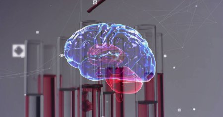 Foto de Imagen del cerebro humano sobre platos de laboratorio sobre fondo gris. Ciencia, investigación y concepto de laboratorio imagen generada digitalmente. - Imagen libre de derechos