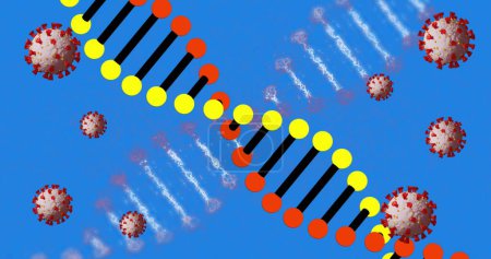 Foto de Imagen digital de múltiples estructuras de ADN girando contra iconos humanos sobre fondo azul. Global covid pandemic medicine and healthcare services concept digitally generated image. - Imagen libre de derechos