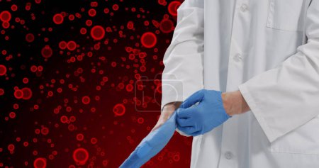 Photo for Image of midsection of caucasian male doctor with gloves over red cells on red background. Human biology, anatomy and medicine concept digitally generated image. - Royalty Free Image