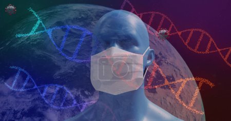 Photo for Image of rotating DNA strands, spinning globe and Covid 19 cells spreading over model of human head wearing face mask. Global coronavirus pandemic concept digitally generated image. - Royalty Free Image