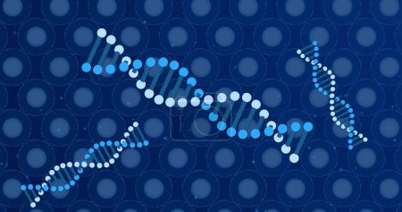 Téléchargez les photos : Image d'ADN sur des cellules bleues sur fond bleu. Biologie humaine, anatomie et concept corporel image générée numériquement. - en image libre de droit