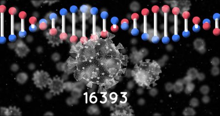 Téléchargez les photos : Image d'un brin d'ADN flottant sur des cellules de coronavirus. Concept mondial de communication et de réseautage de données en recherche médicale image générée numériquement. - en image libre de droit