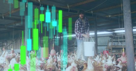 Photo for Image of financial data processing over caucasian man feeding chickens. Global finances, ecology and digital interface concept digitally generated image. - Royalty Free Image