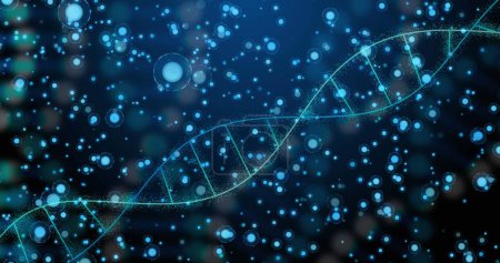 Téléchargez les photos : Image de l'ADN sur des points sur fond bleu. Réseau, connexions et concept scientifique image générée numériquement. - en image libre de droit