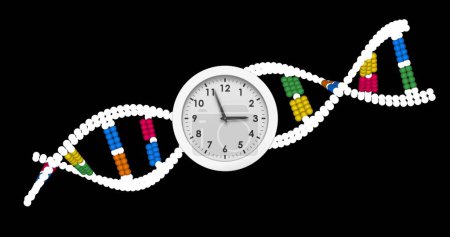 Bild der Uhr, die sich über den dna-Strang auf schwarzem Hintergrund bewegt. Globale Wissenschaft und digitales Schnittstellenkonzept digital generiertes Bild.