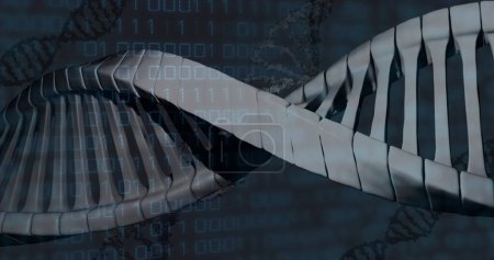 Photo for Image of data processing and dna strand on black background. global technology and digital interface concept digitally generated image. - Royalty Free Image