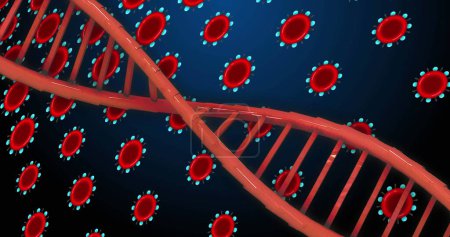 Téléchargez les photos : Image d'ADN sur des globules rouges sur fond bleu. Biologie humaine, anatomie et concept corporel image générée numériquement. - en image libre de droit