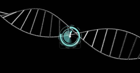 Image of clock moving over dna strand on black background. Global science and digital interface concept digitally generated image.