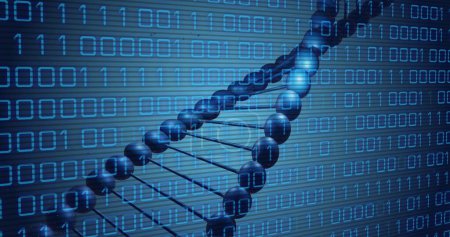 Image of dna rotating over binary code on blue background. Science, biology, data processing and technology concept digitally generated image.