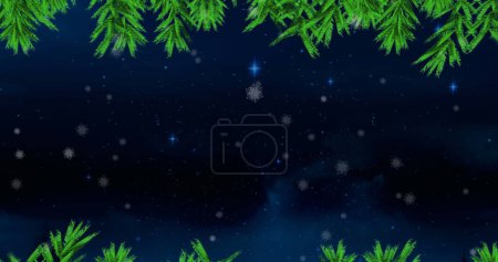 Téléchargez les photos : Des branches d'arbres verts et de la neige tombant contre des étoiles bleues brillantes dans le ciel nocturne. Noël fête et concept de célébration - en image libre de droit