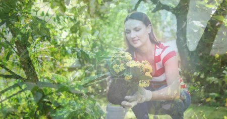 Image composite de grands arbres contre une femme caucasienne tenant un pot de plante dans le jardin. semaine jardin communautaire concept de sensibilisation