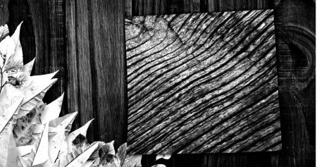 Téléchargez les photos : Image des feuilles de la plante et du motif changeant du grain du bois, noir et blanc. Nature, énergie et changement, concept de fond abstrait monochrome image générée numériquement. - en image libre de droit
