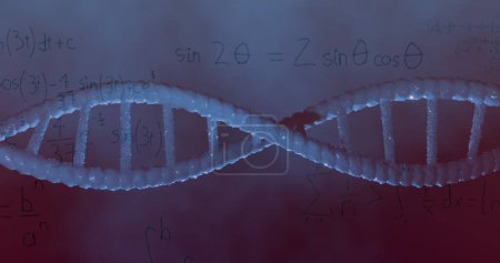 Téléchargez les photos : Image d'ADN tournant sur des formules mathématiques sur fond violet. Concept de science, biologie humaine et technologie image générée numériquement. - en image libre de droit